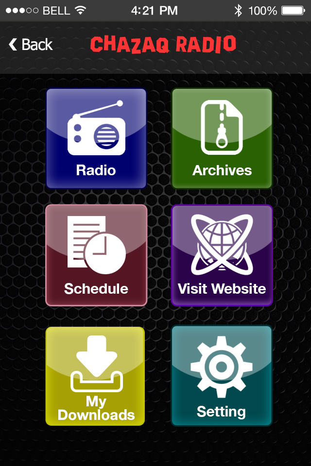 Radio / Media — Home menu